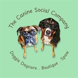 The Canine Social Company Ltd, Toronto, ON opening hours