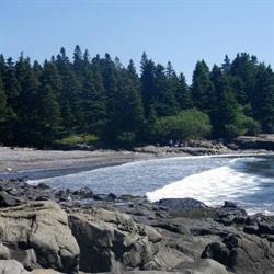 Driftwood Cottages, Grand Manan, NB opening hours
