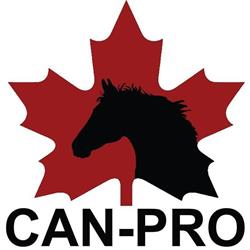 Can Pro Equestrian Supply, Rockwood, ON opening hours