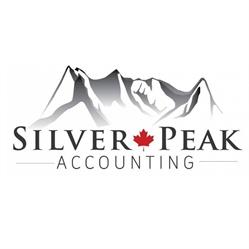 Silver Peak Accounting, London, ON opening hours