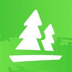 Forest Cliff Camp, opening hours