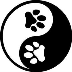 Balanced Paws Veterinary Care, Courtenay, BC opening hours