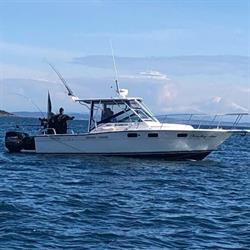 No Bananas Fishing Charters, Victoria, BC opening hours