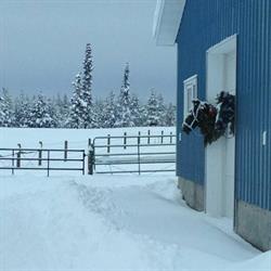 Nechako Valley Animal Health Services, Vanderhoof, BC opening hours