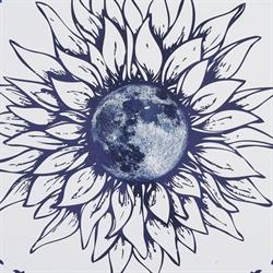 Blue Moon Mercantile & Florals, Carnduff, SK opening hours