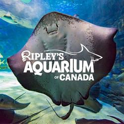 Ripley's Aquarium of Canada, Toronto, ON opening hours
