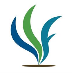 Seaweed and Sod Farm Bed and Breakfast, Kempt Head, NS opening hours