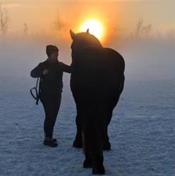 Hawkstone Stables, Spruce Grove, AB opening hours