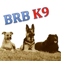 brb K9, Ancaster, ON opening hours