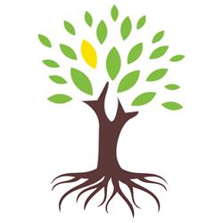 Spark Occupational Therapy, Campbell River, BC opening hours