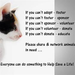 The Animal Assistance Group, Sault Ste. Marie, ON opening hours