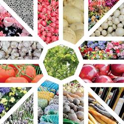 Goderich BIA Farmers' Market, opening hours