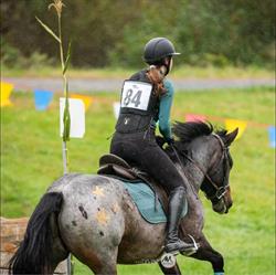 Bridlewood Riding Centre, Lake Country, BC opening hours