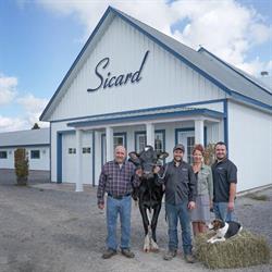 Ferme Yvon Sicard, Saint-Justin, QC opening hours
