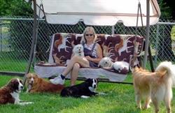 Heidi's Alternative & Holistic Dog care, Summerland, BC opening hours