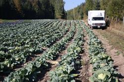Cariboo Growers Farm, Prince George, BC opening hours