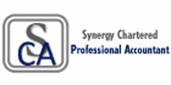 Synergy Chartered Professional Accountant, Surrey, BC opening hours