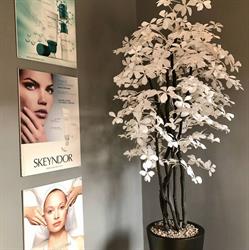 Oksana Day Spa, St. Albert, AB opening hours