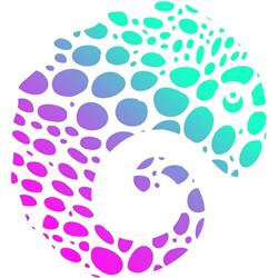 Chameleon Digital Media Agency, Toronto, ON opening hours