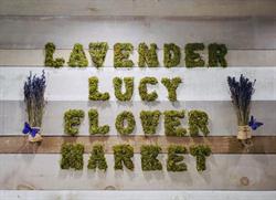 Lavender Lucy Flowers, St. John's, NL opening hours