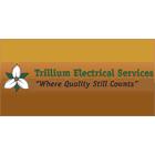 Trillium Electrical Services, Georgetown, ON opening hours