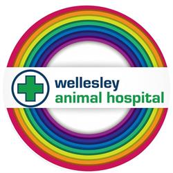 Wellesley Animal Hospital, Toronto, ON opening hours