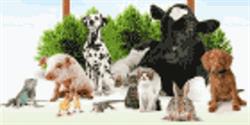Essa Valley Feed'N Pet Centre, Barrie, ON opening hours