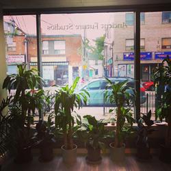 Ancient Future Studio, Toronto, ON opening hours