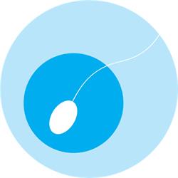 ELITE IVF, Toronto, ON opening hours