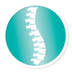 Select Chiropractic, Port Dover, ON opening hours