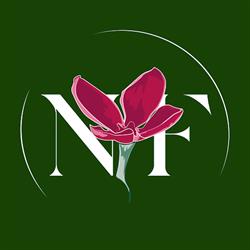 Nectar Flowers Ottawa, opening hours