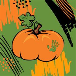 Little Pumpkins Inc, Kentville, NS opening hours