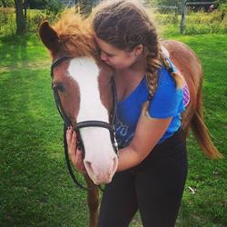 Legacy Equestrian, Uxbridge, ON opening hours