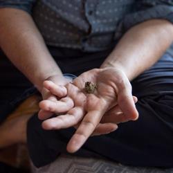Live Hand Acupuncture, Toronto, ON opening hours