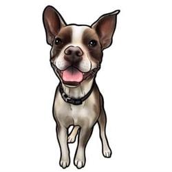 Paw Prints Doggy Daycare & Grooming Inc., Bedford, NS opening hours