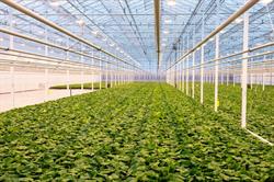 Roelands Plant Farms Inc, Lambton Shores, ON opening hours