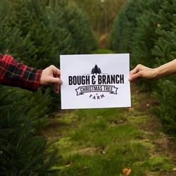 Bough and Branch Christmas Tree Farm, Abbotsford, BC opening hours