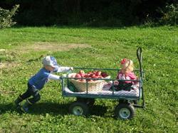 Windwood Farms, Beamsville, ON opening hours