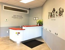 Bay Ridges Animal Clinic, Pickering, ON opening hours