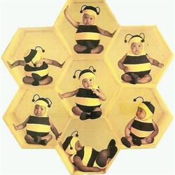 Honeycomb Midwives, Calgary, AB opening hours