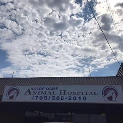 Notre Dame Animal Hospital, Sudbury, ON opening hours