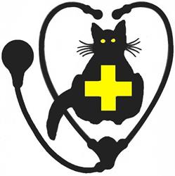 Sudbury Regional Cat Hospital, opening hours