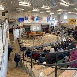 Kawartha Lakes Community Sales Barn Inc, Woodville, ON opening hours