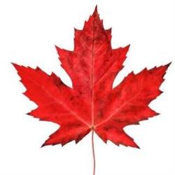 Canada Food Service Products Inc., Scarborough, ON opening hours