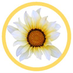 Gentle Beginnings Yoga, Mississauga, ON opening hours