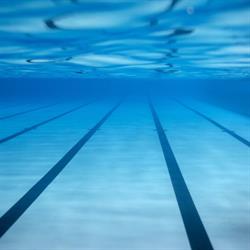 Austin Carroll Pool Construction Ltd, Milton, ON opening hours