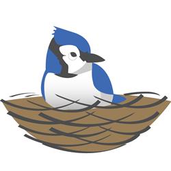 The Blue Jay Nest, Paradise, NL opening hours