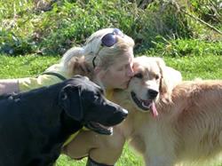 Wagging Tail Pet Retreat, Millbrook, ON opening hours