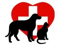 Main Street West Animal Hospital, Hamilton, ON opening hours