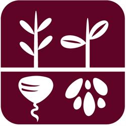 Foodscape Enterprises Inc, Vancouver, BC opening hours